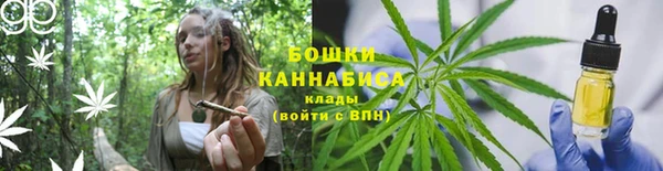 ECSTASY Дмитриев