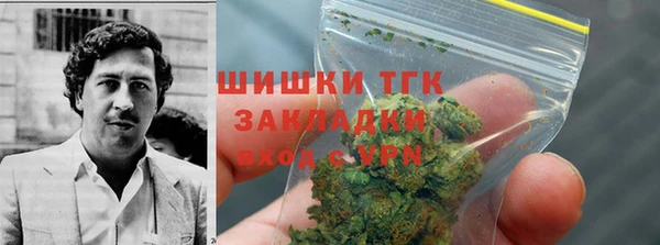 ECSTASY Дмитриев