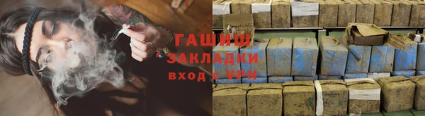 стаф Ельня