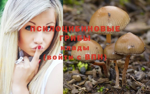 кокаин колумбия Дмитровск