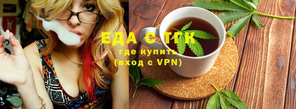 стаф Ельня
