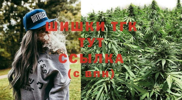 ECSTASY Дмитриев