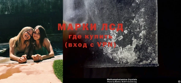 стаф Ельня