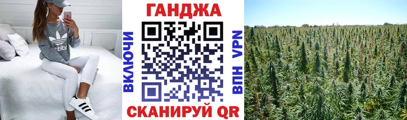 Конопля AK-47  Купить где  Горняк 